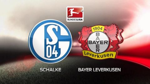 Nhận định Schalke vs Leverkusen, 01h30 ngày 30/9: Hat-trick thua cho ” Hoàng đế xanh”?