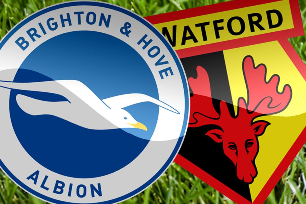 Nhận định Brighton vs Watford, 22h00 ngày 23/12: Điểm đến khó khăn