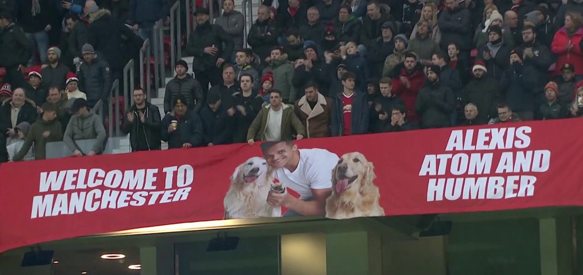 Chó cưng Sanchez được vinh danh trên khán đài Old Trafford