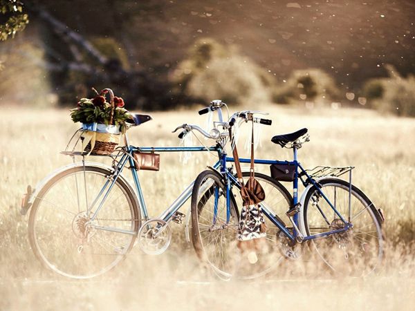 Mơ thấy xe đạp đánh con gì – Ý nghĩa giấc mơ thấy xe đạp