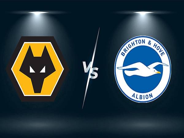 Nhận định kèo Wolves vs Brighton – 21h00 30/04, Ngoại hạng Anh
