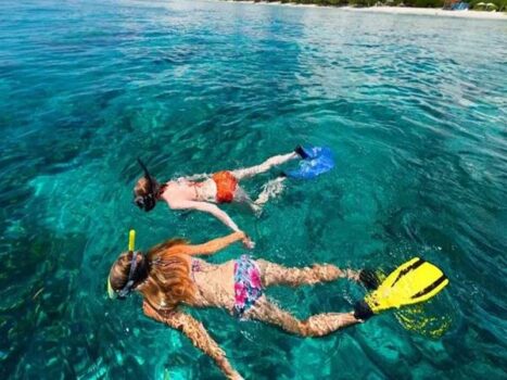 Snorkel là gì? So sánh giữa Snorkeling và Scuba diving