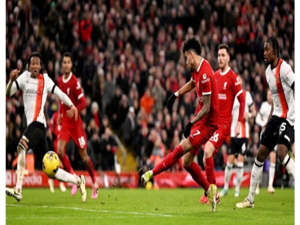 Liverpool đã giành được tổng cộng 19 chức vô địch quốc gia