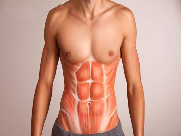 Các bài tập tăng cường cơ lõi hiệu quả